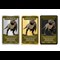 Indx Trading Cards Reverses 650X450