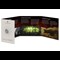 Game Of Thrones 50P BU Pack OPEN FIRE